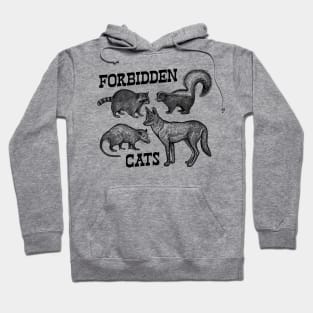 Forbidden Cats Hoodie